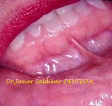 Dr.Javier Saldivar